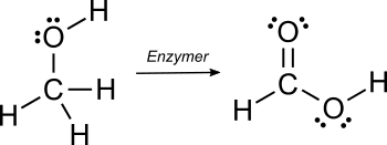 Strukturformler för metanol och myrsyra. Strukturformler för metanol och myrsyra.